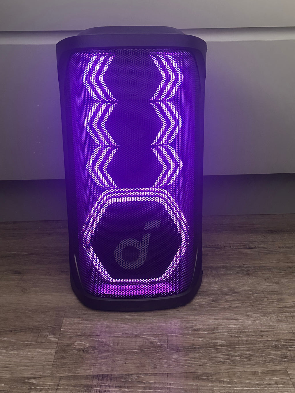 Bluetooth Party Speaker/Karaoke Machine